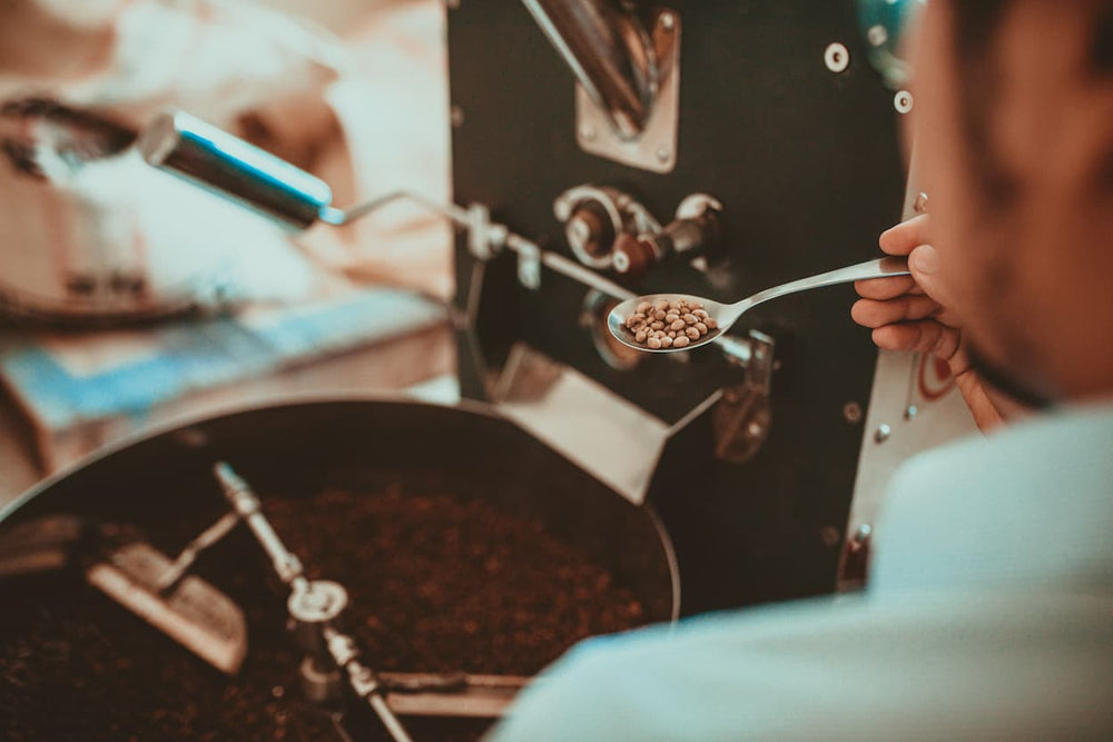 Personne mesurant la torréfaction du grain dans une cuillère à café
