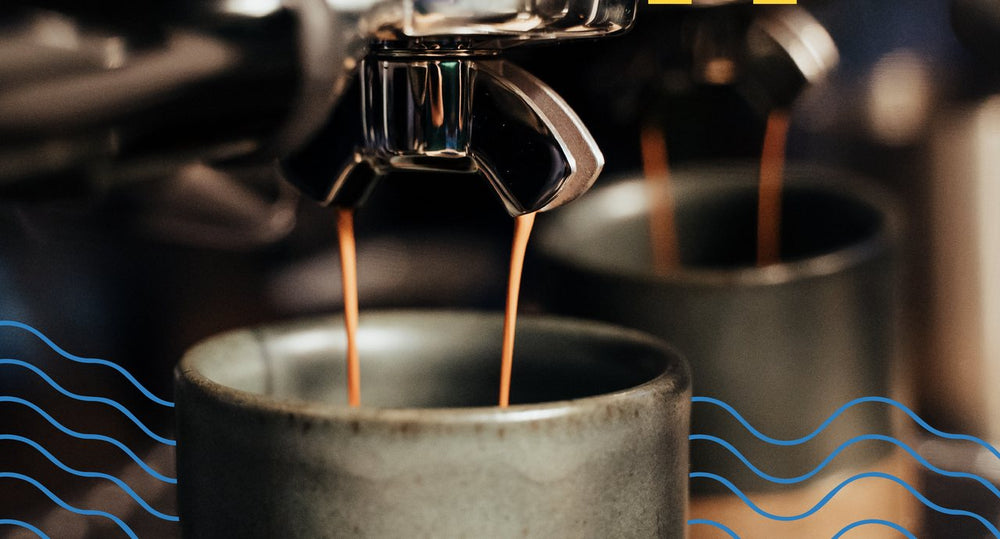 Réutiliser le marc de café : astuces pratiques pour limiter le gaspillage