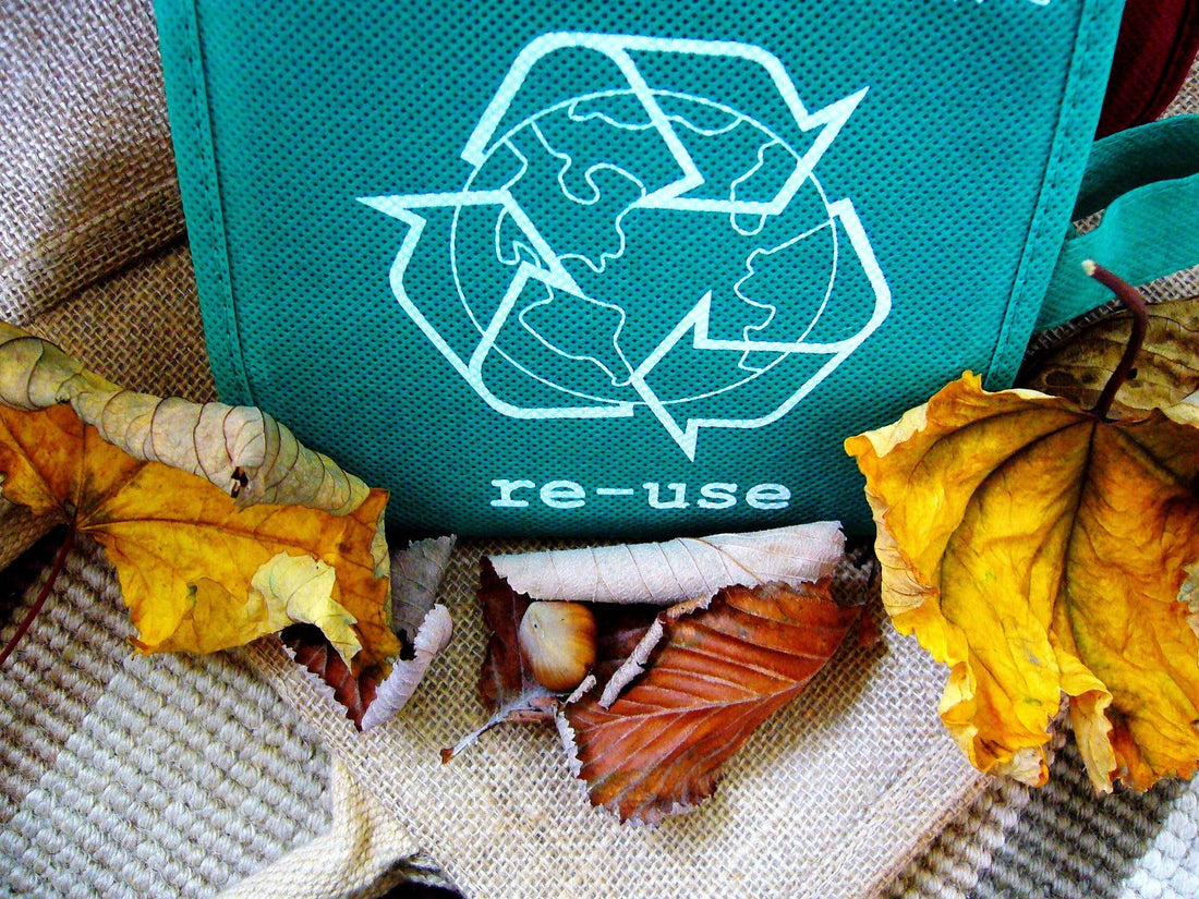 Image de recyclage par Shirley Hirst de Pixabay
