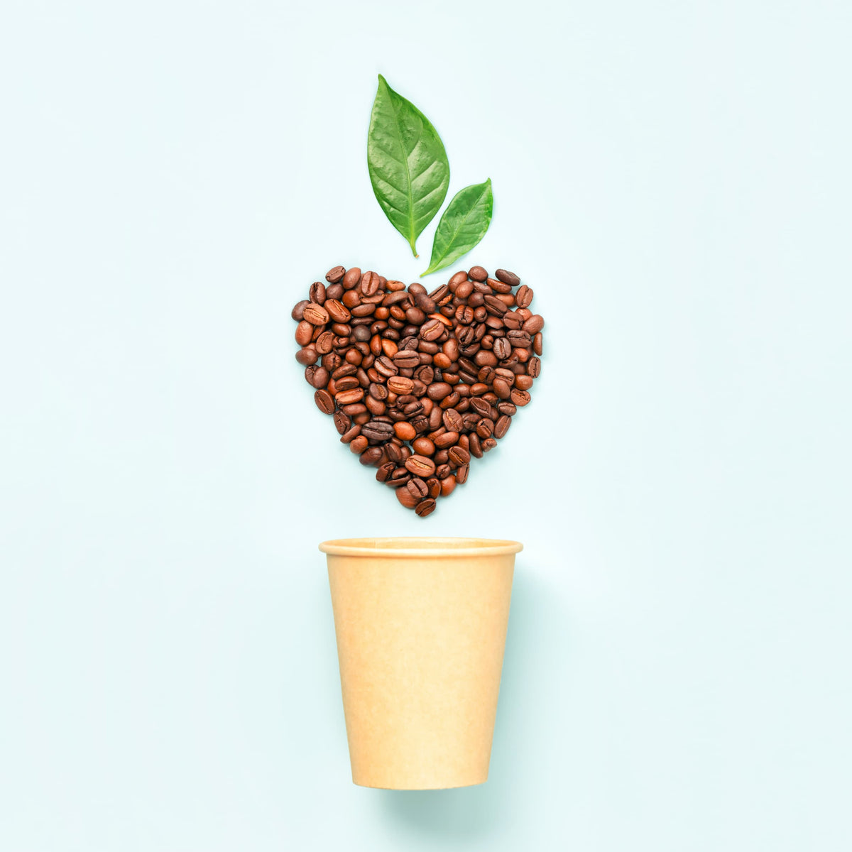 Empreinte carbone du café : comprendre pour mieux choisir