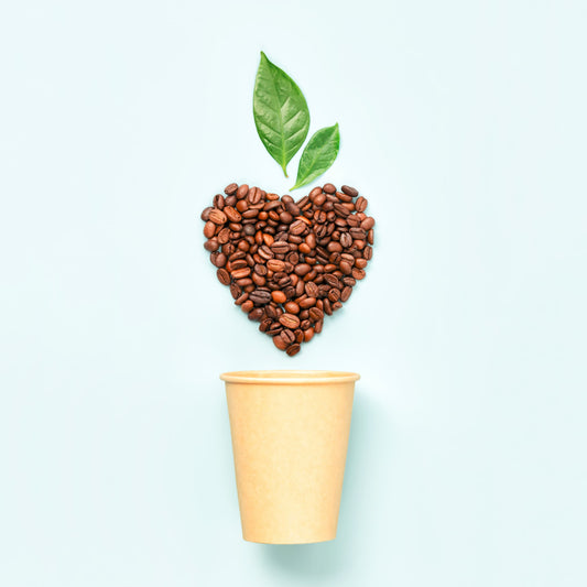 Empreinte carbone du café : comprendre pour mieux choisir