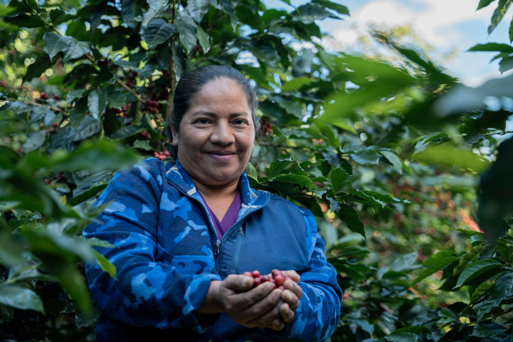 Productrice de café au sein de sa plantation