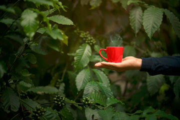 Certifiés Agriculture Biologique